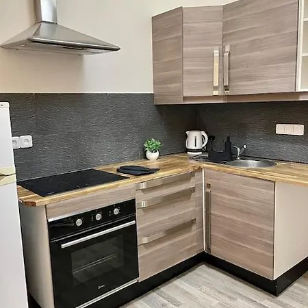 شقة With Terrace In Center براغ